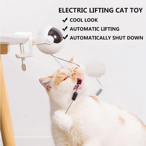 Jouet pour chat à Motion de levage automatique électrique
