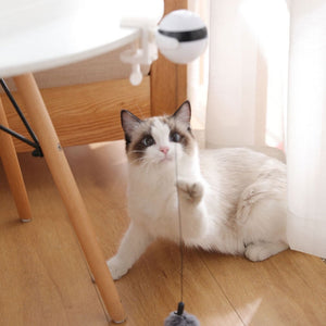 Jouet pour chat à Motion de levage automatique électrique